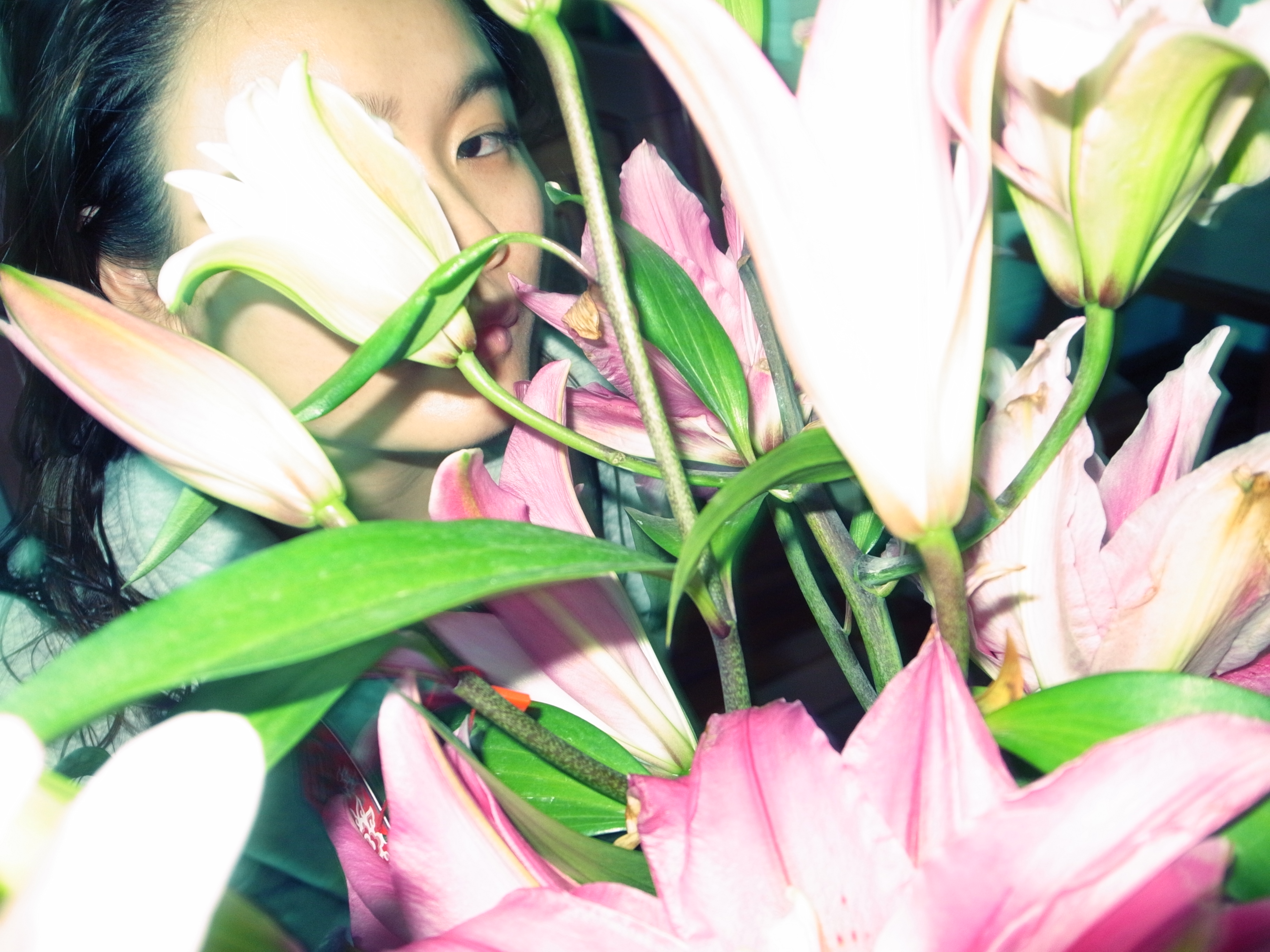 Behind The Flowers